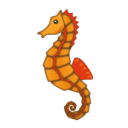 seahorse
